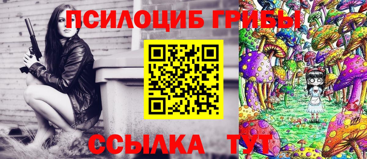 Галлюциногенные грибы Psilocybe Лиски