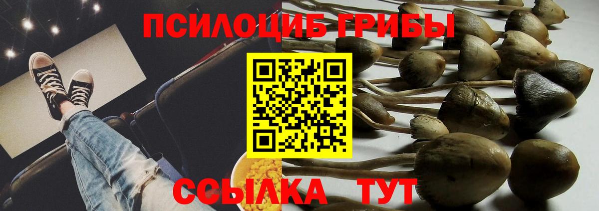 Псилоцибиновые грибы мицелий  Вход с VPN  Лиски  купить  цена  Псилоцибиновые грибы Psilocybine cubensis 